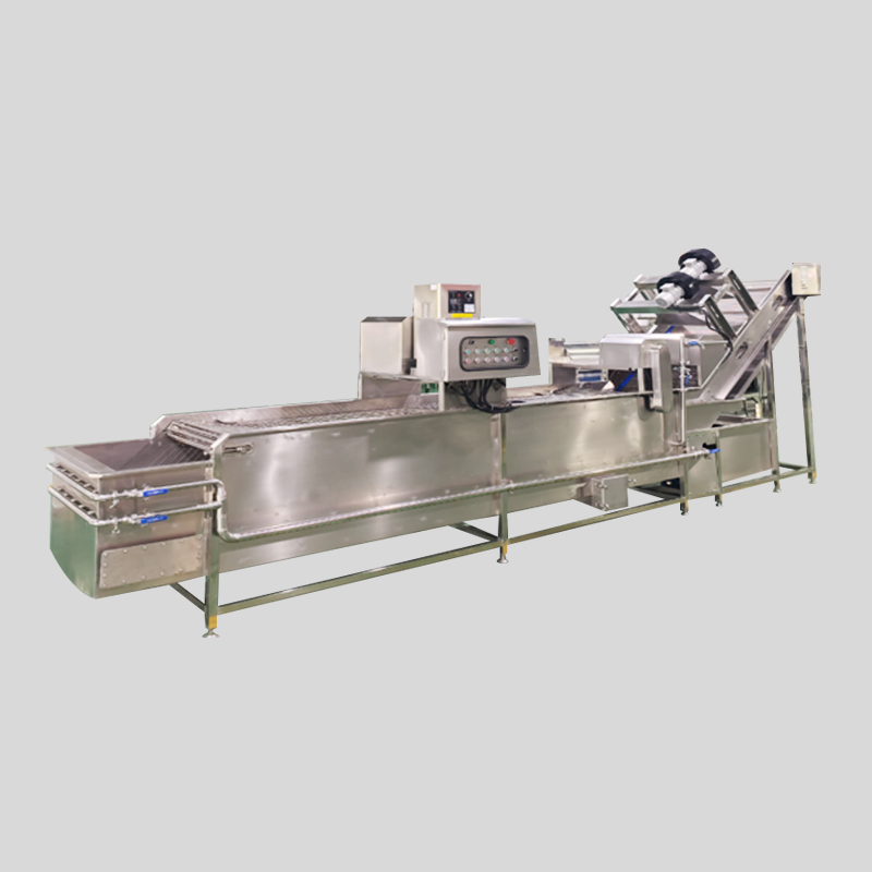 水果蔬菜气泡清洗机