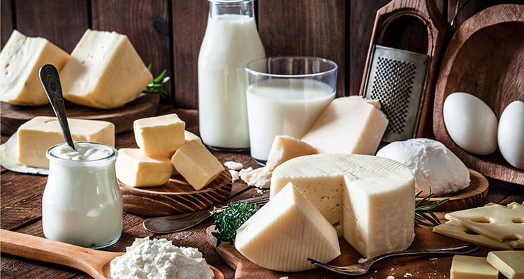 乳制品解决方案