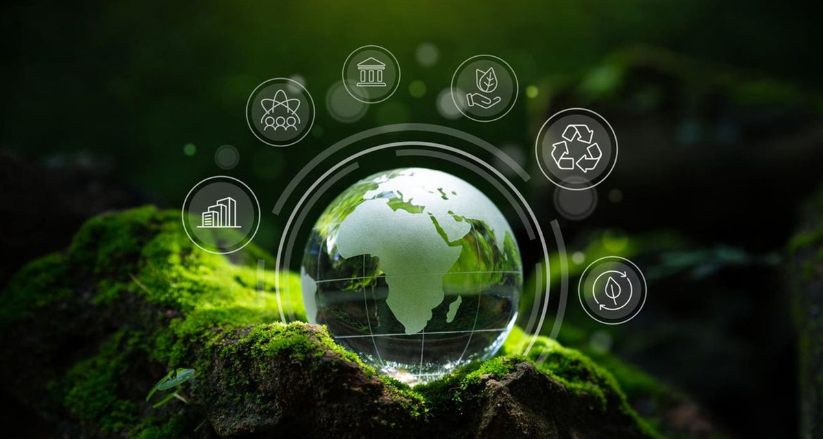 芯食代冻干科技研究院（江苏）有限公司