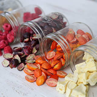 芯食代冻干科技研究院（江苏）有限公司